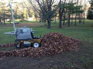 Leaf clean up, lawn care, leaves, fall, spring