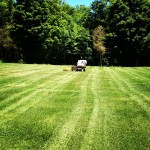 lawn care, grass cutting, mower, mower lines