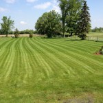 lawn care, grass cutting, property maintenance, lawn mower